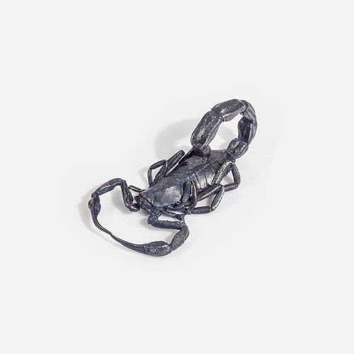 Customer photo review of Scorpion | 925 Sterling Silver