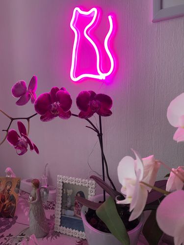 Customer photo review of 'There is a light that never goes out' neon sign