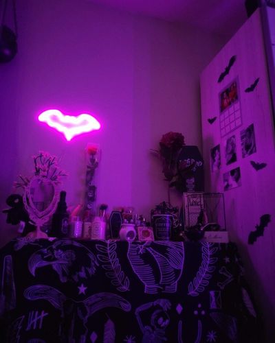 Customer photo review of Female Back Silhouette Neon Sign