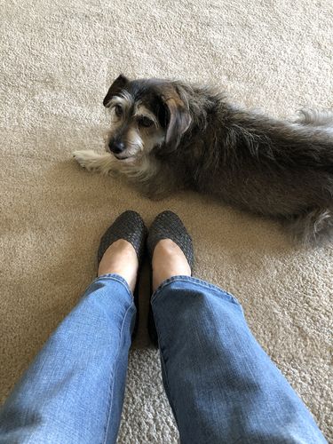 Customer photo review of TRIBUTE ROSA