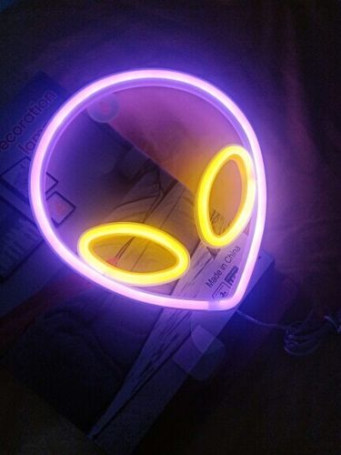 Customer photo review of 'There is a light that never goes out' neon sign