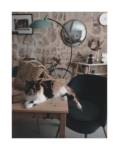 Avis photo d'un client sur Pâtée Chat Stérilisé Sans Céréales - Saumon