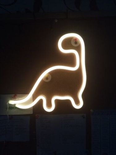 Customer photo review of 'There is a light that never goes out' neon sign
