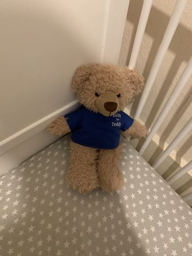 Customer photo review of Eddy The Teddy Bear