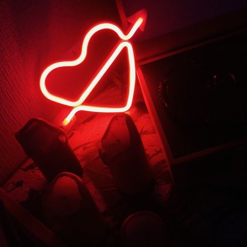 Customer photo review of Female Back Silhouette Neon Sign