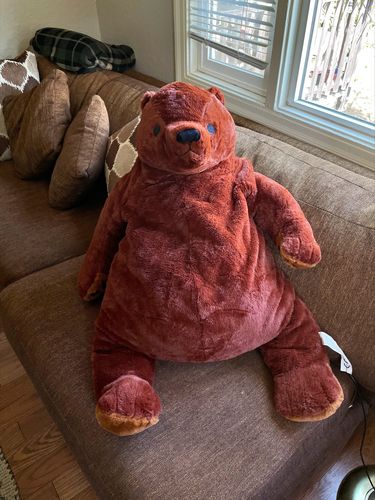 Customer photo review of SKOGGY BEAR