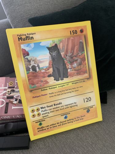 Customer photo review of PokePet Canvas