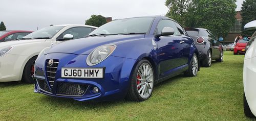 Customer photo review of Alfa Romeo Mito Fog Light Armour