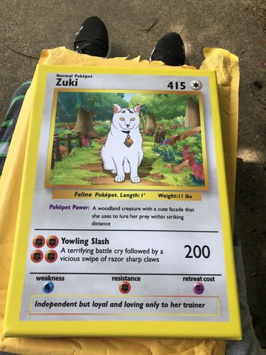 Customer photo review of Pokepet