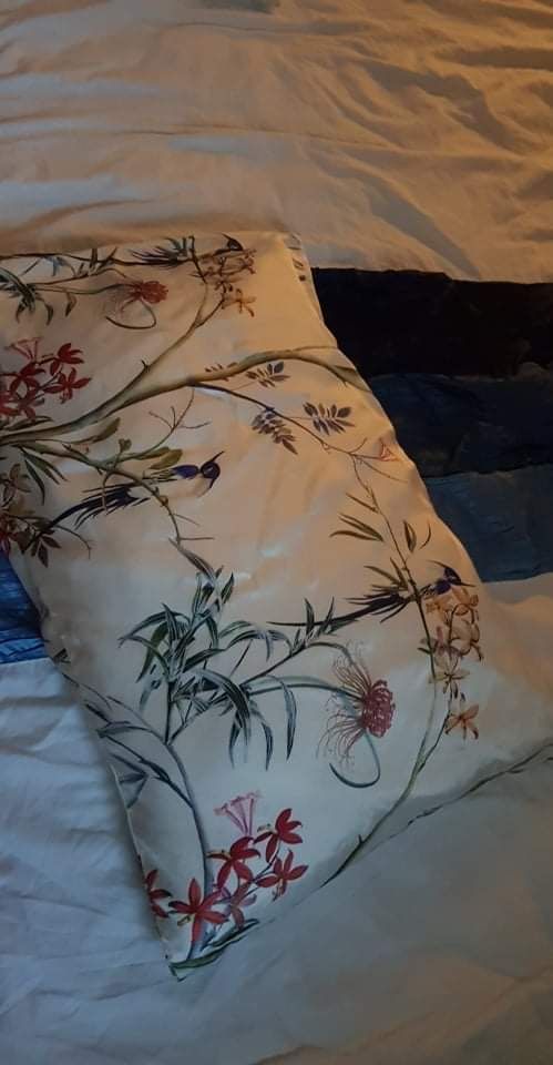 Customer photo review of Hummingbird Pure Silk Pillowcase