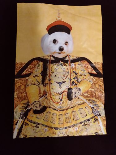 Customer photo review of Ancient Chinese Emperor Custom Pet Photo Women T Shirt