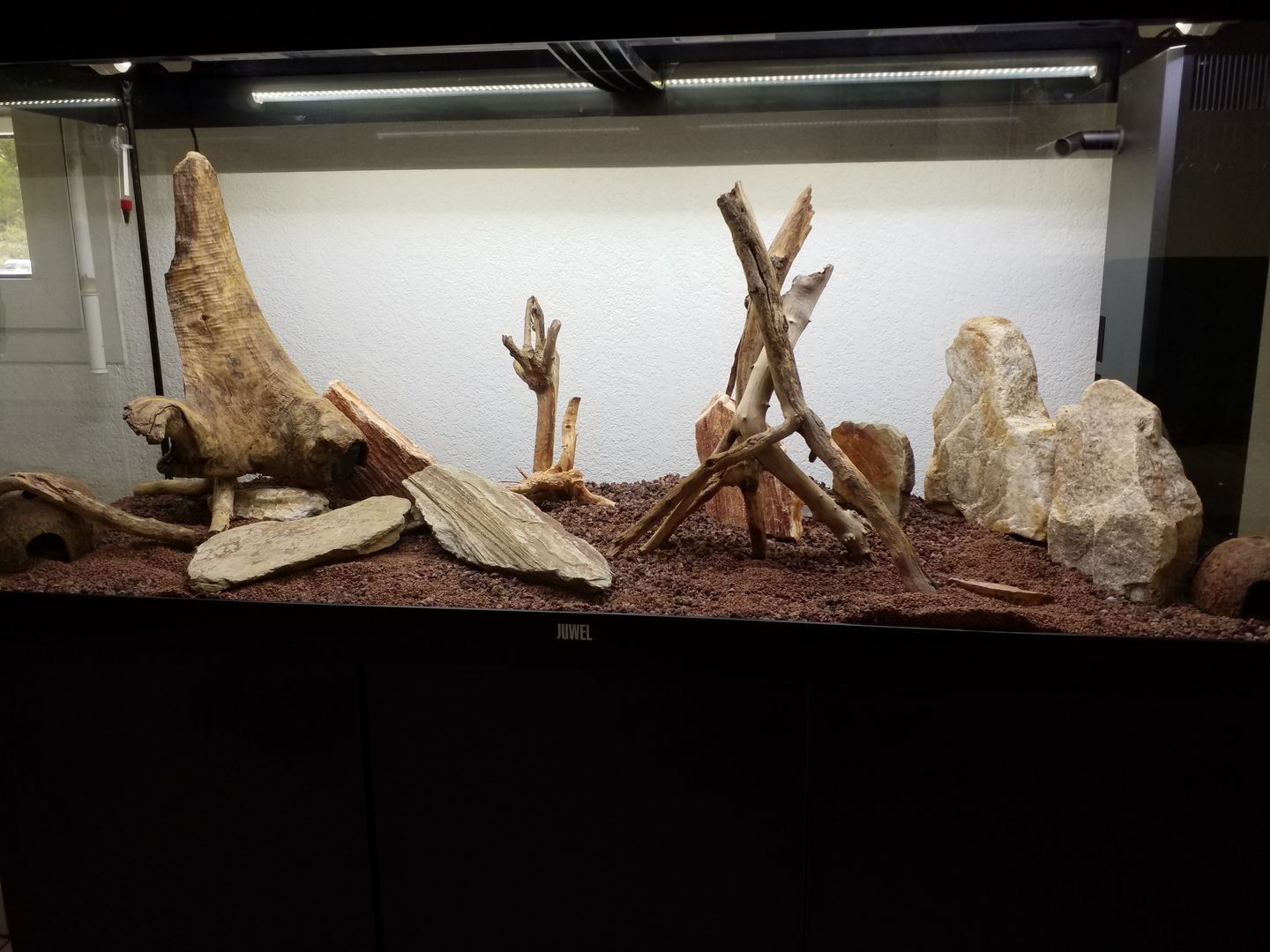 Customer photo review of Aquarium Rio 240 LED Noir Équipé JUWEL - 240L