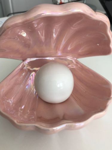 Customer photo review of Vespani Shell Lamp