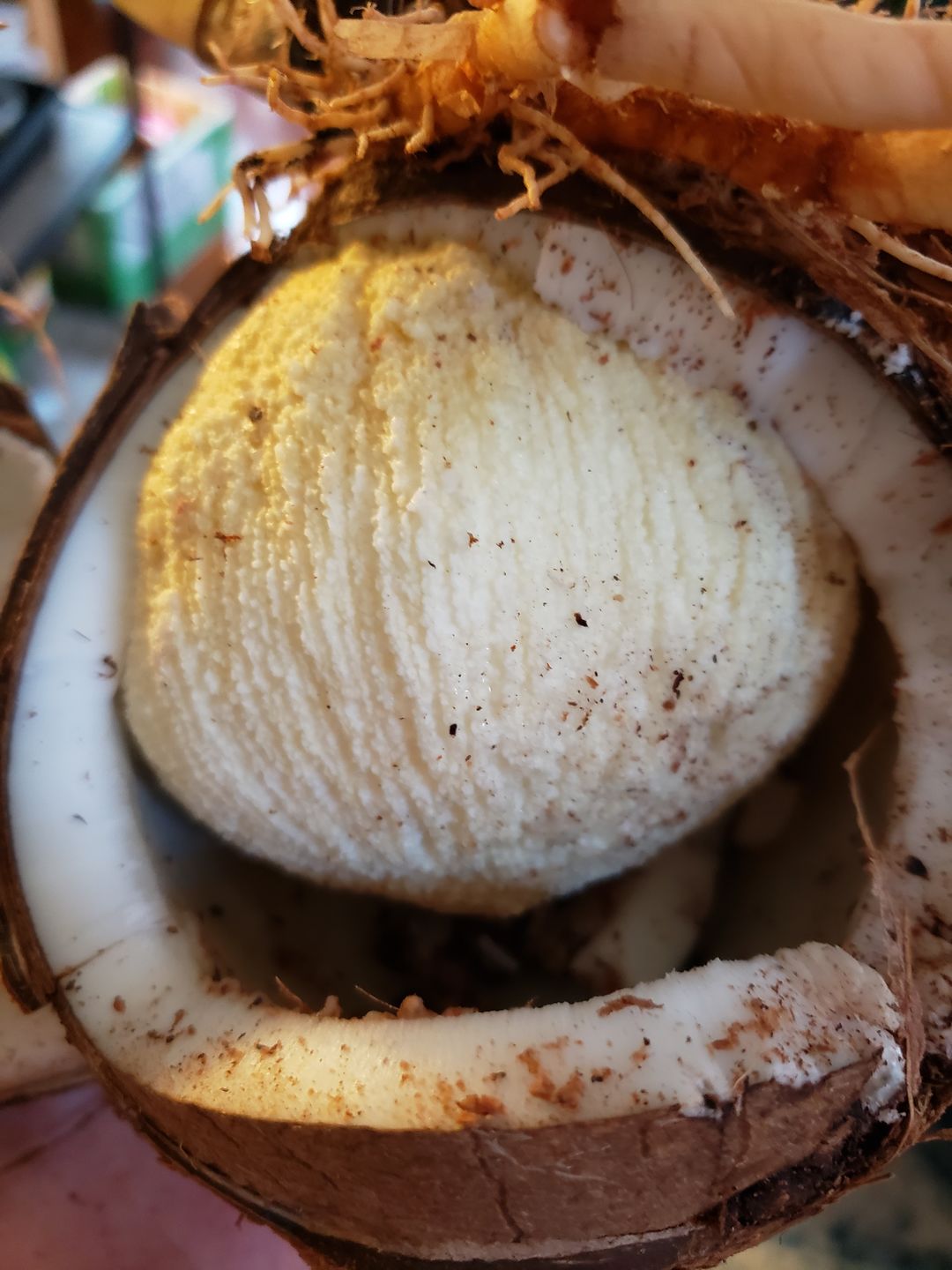 Customer photo review of Sprouted Coconut Box