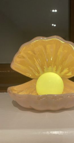 Customer photo review of Vespani Shell Lamp