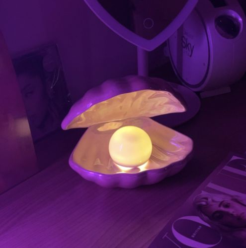Customer photo review of Vespani Shell Lamp