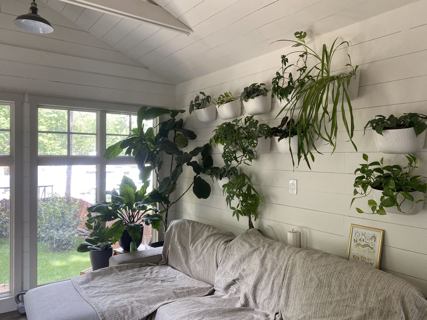 Customer photo review of Eco White Wall Planter