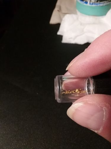 Customer photo review of Nugget Reserve 'MUSEUM SPECIMEN CHASE' - Gold Panning Paydirt Concentrate