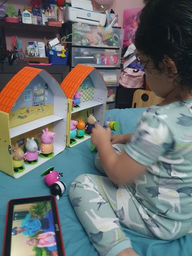 Customer photo review of Colección Completa Peppa Pig: 12 Figuras + 12 Libros + Caja coleccionadora