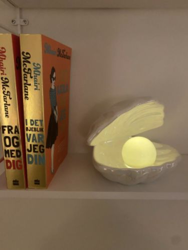 Customer photo review of Vespani Shell Lamp