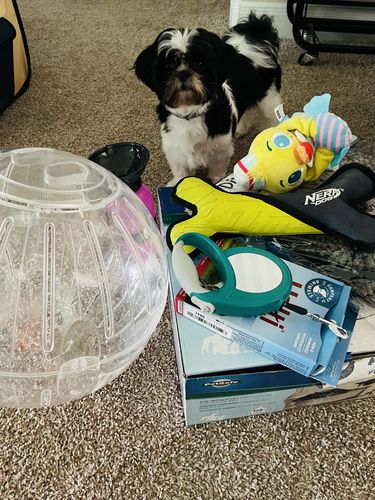 Customer photo review of WiBargain Pet Box Limited Edition