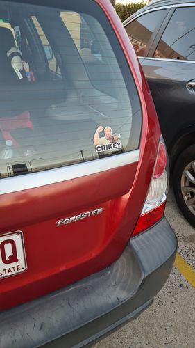 Customer photo review of NUGS NOT DRUGS STICKER