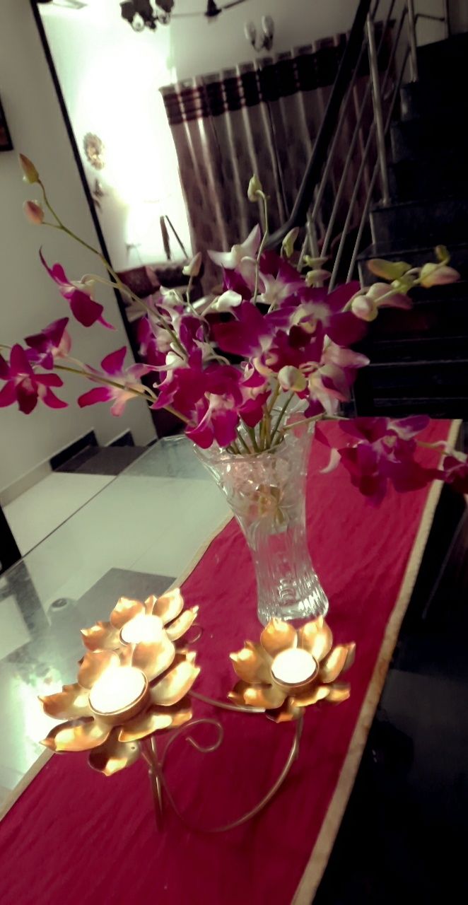 Customer photo review of Hydrangea
