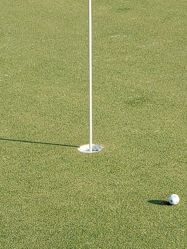 Customer photo review of 305 Signature Series