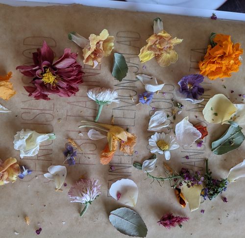 Customer photo review of BAKER'S Bloomish Box - Monthly Plan