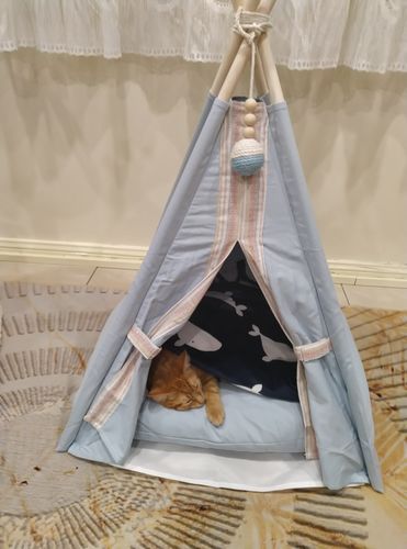 Customer photo review of Teepee Pet Tent with Cushion Pet Bed