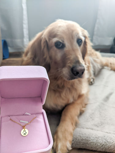 Customer photo review of Double-Sided Custom Paw Necklace