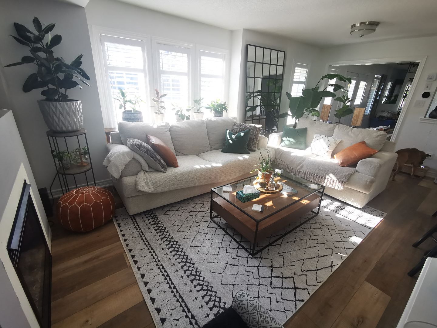 Customer photo review of Alma Scandi Silver Rug