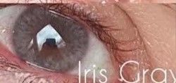 Customer photo review of Siesta Crystal Iris Gray