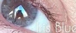Customer photo review of Siesta Crystal Iris Blue