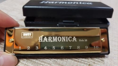 Customer photo review of LeLair Professional Golden Harmonica With Case
