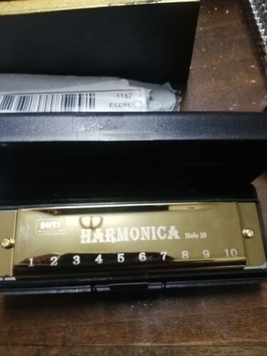 Customer photo review of LeLair Professional Golden Harmonica With Case