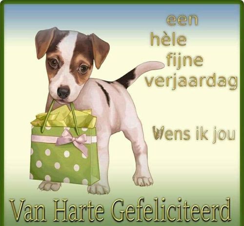 Customer photo review of Malachia [1 + 1 GRATIS]