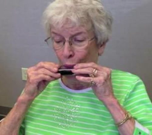 Customer photo review of LeLair Professional Golden Harmonica With Case