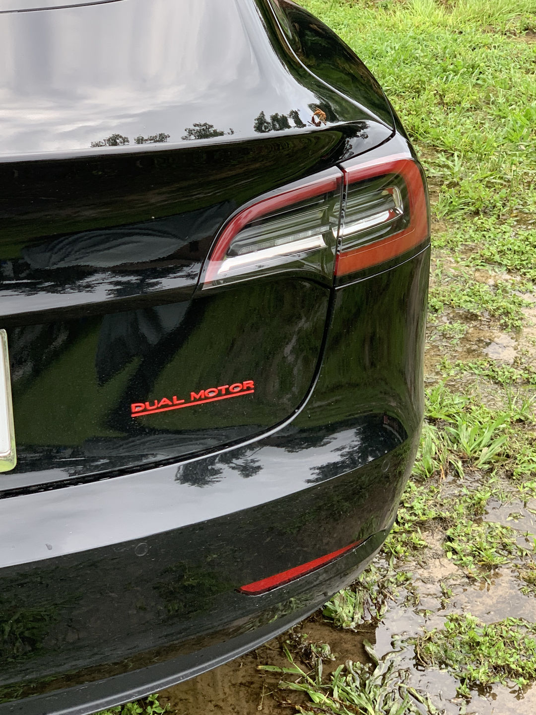 Customer photo review of DUAL MOTOR Trunk Badge Emblems for All Teslas (5 color options)