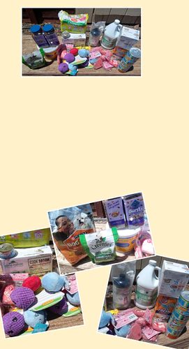 Customer photo review of WiBargain Pet Box Limited Edition