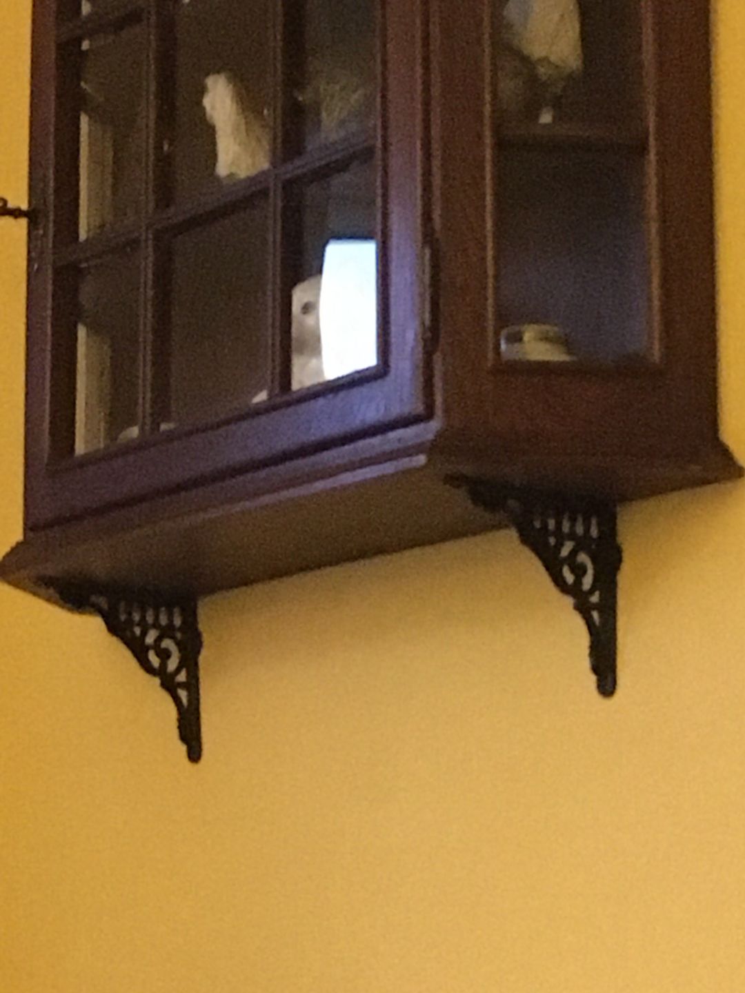 Customer photo review of 6 Inch Railway Cast Iron Shelf Bracket