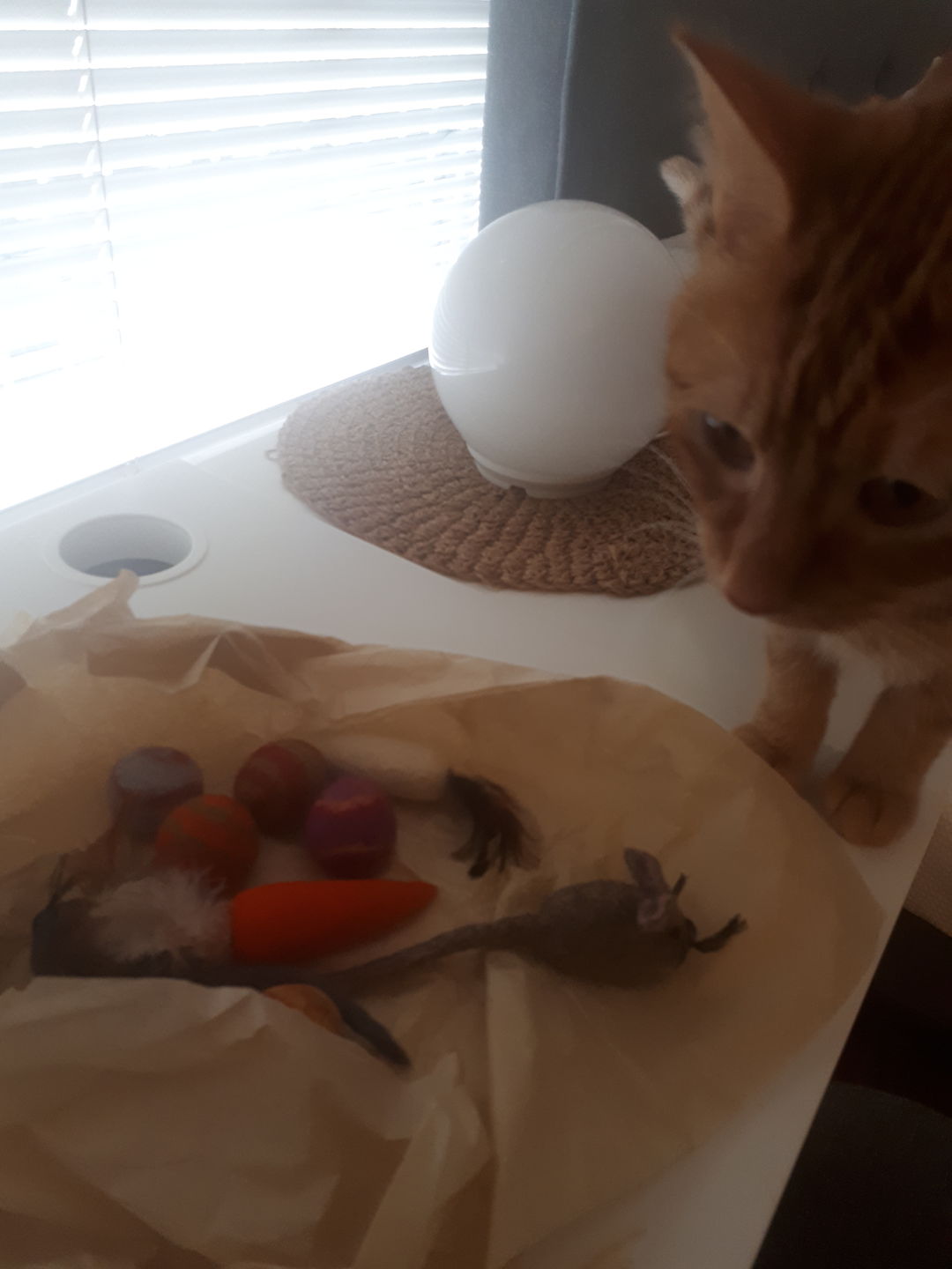 Customer photo review of Felt Cat Ball Toys