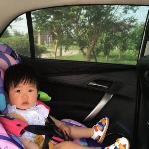 Customer photo review of Toxdo Universal Car Window Screens