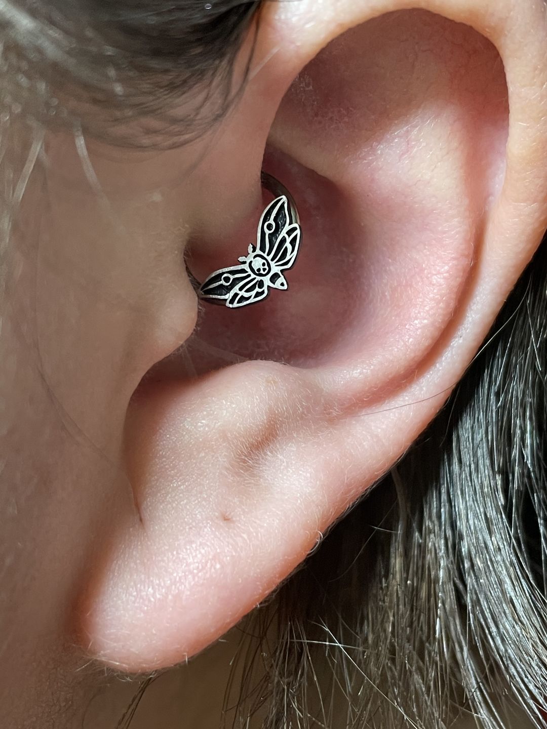 Customer photo review of 16G Death's Head Moth Captive Bead Ring