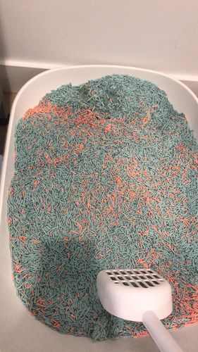 Customer photo review of Furrytail Michu Natural Clumping Tofu Cat Litter 2.5kg/6L