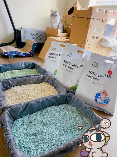 Customer photo review of Furrytail Michu Natural Clumping Tofu Cat Litter 2.5kg/6L