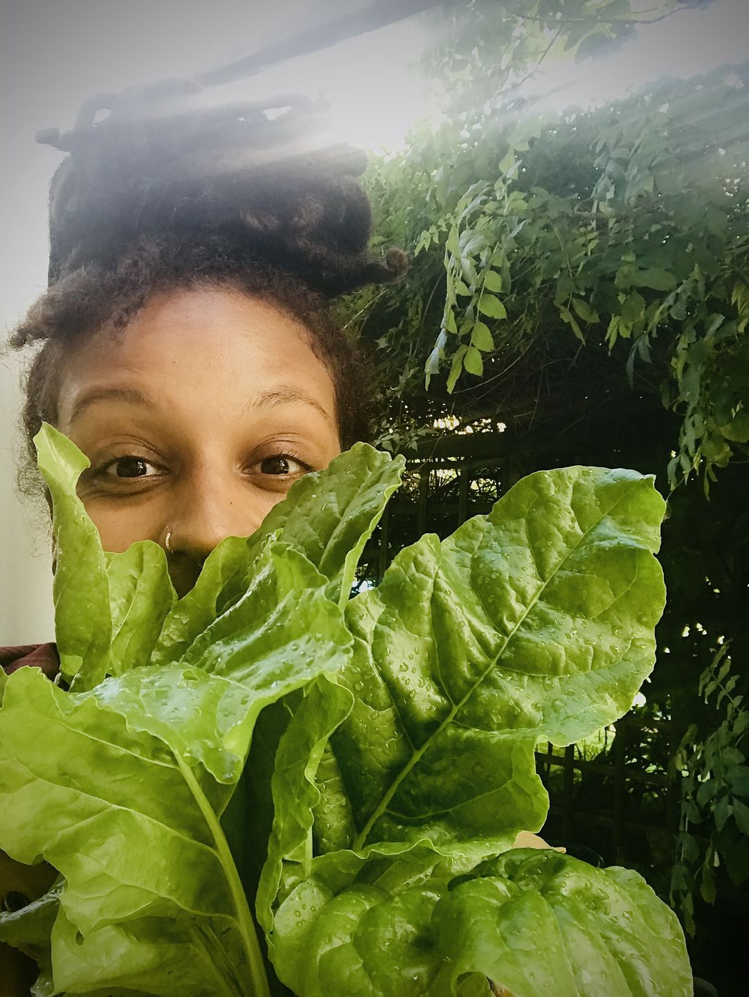 Customer photo review of Ultimate Vegan Meal Replacement 2KG Dairy Free Soy Free | NonGmo | Gluten Free