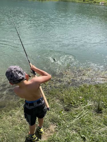 Customer photo review of USB Speed Charger inkl. 2x Akkus