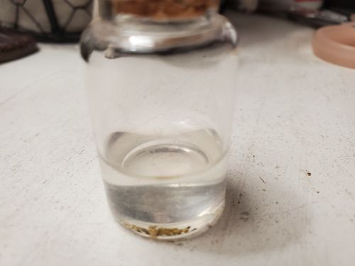 Customer photo review of *New* 2020 NUGGET RESERVE 'CLUNKER' Gold Paydirt Panning Unsearched
