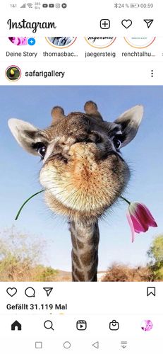 Customer photo review of Omega 3 Algenöl